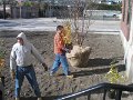 Paul D's Eagle Project 023